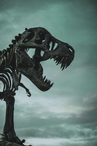 Jurassic Partys Background Image